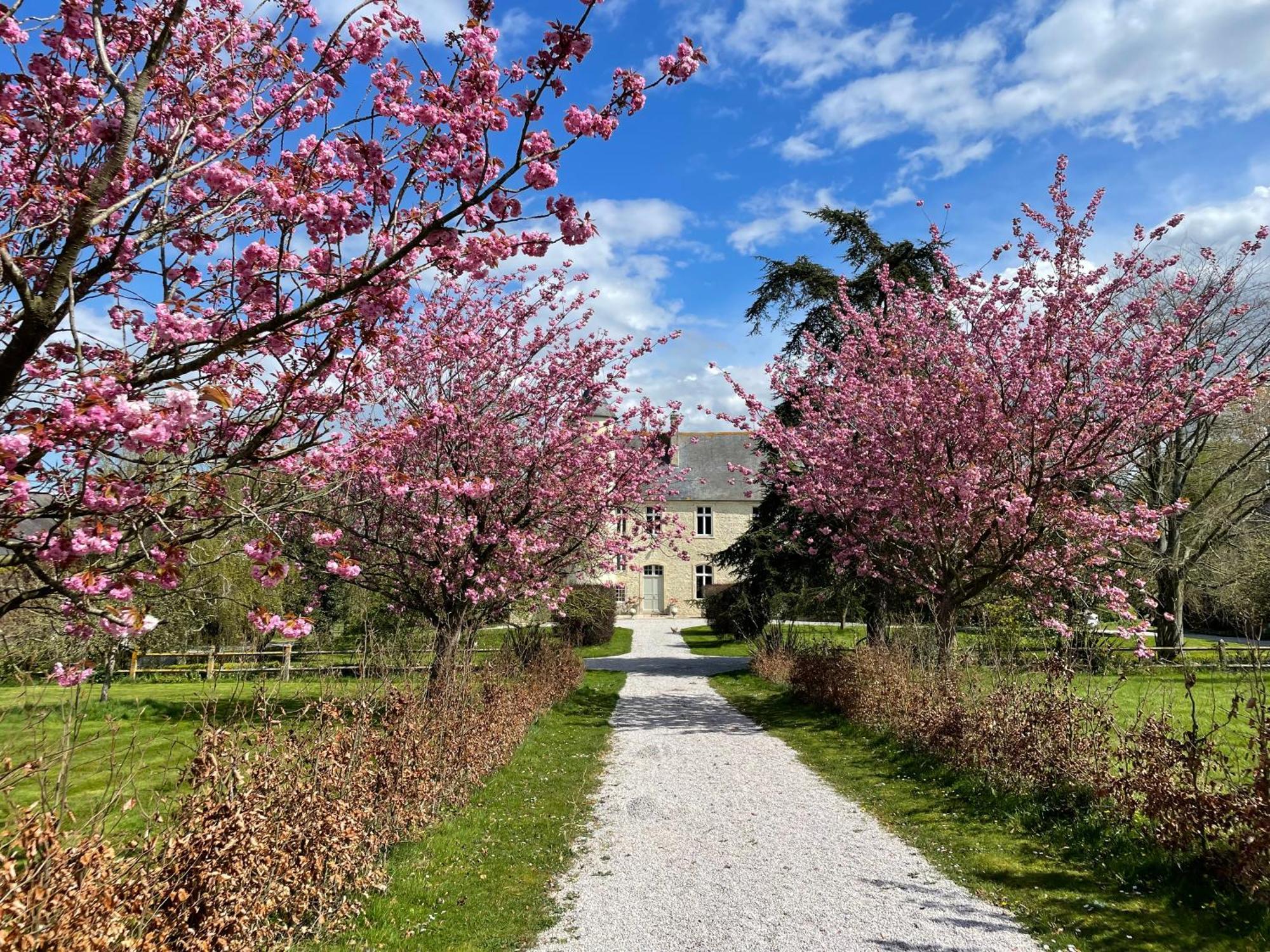 Chateau De Monfréville Zewnętrze zdjęcie
